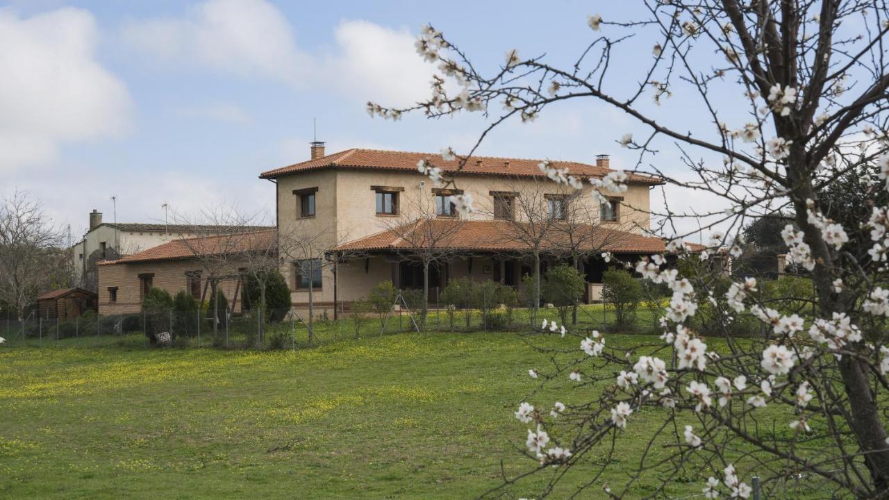 Casa Rural Pilon Del Fraile Oropesa Exteriör bild
